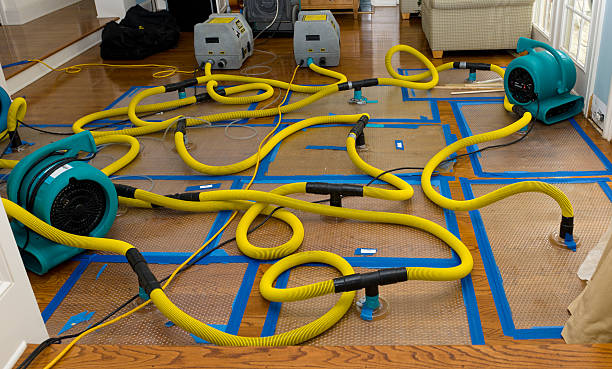 Professional Burst Pipe Water Damage technician working in Mitchellville, MD